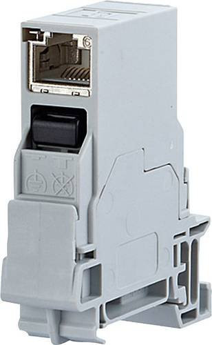 Metz Connect Netzwerkdose CAT 6 für Hutschiene Ethernet/LAN in Lichtgrau - Bild 1