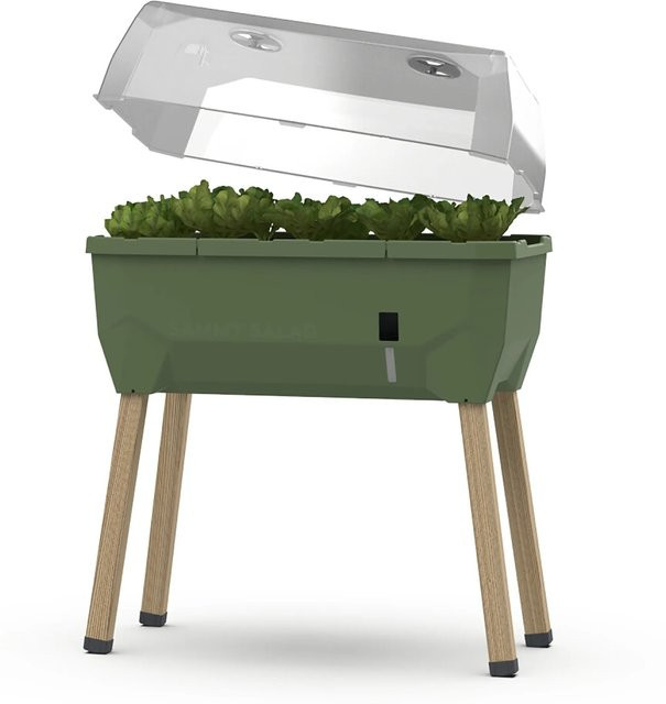 Gusta Garden Table Bed Sammy Salad aus Lärchenholz mit abnehmbarer Cloche in Dunkelgrün - Bild 1