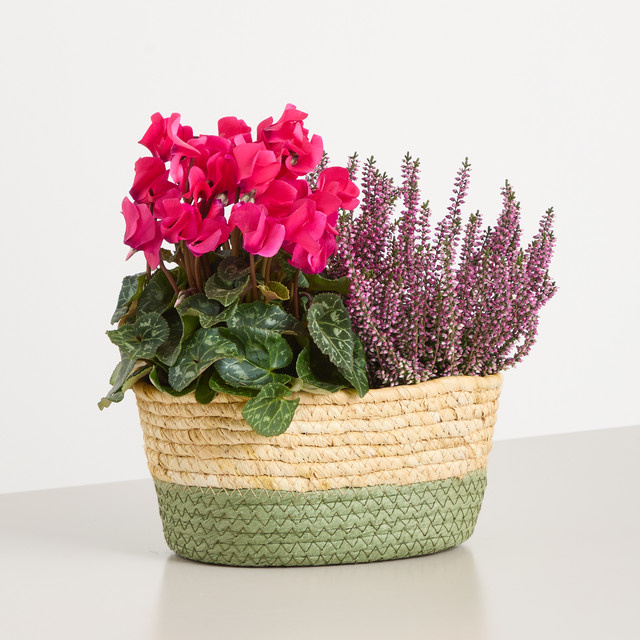 BLUME2000 Herbstfarben Outdoor Topfpflanze im Korb - Bild 1
