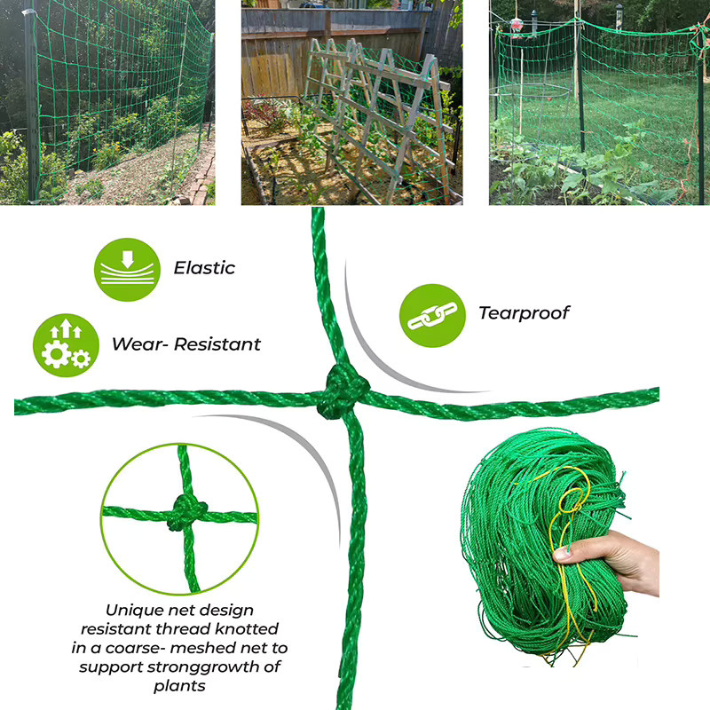 Grünes Pflanzenkletternetz aus Nylon als Pflanzenspalier für Garten, Gemüse und Blumen, B/H: 90 x 180 cm - Bild 5