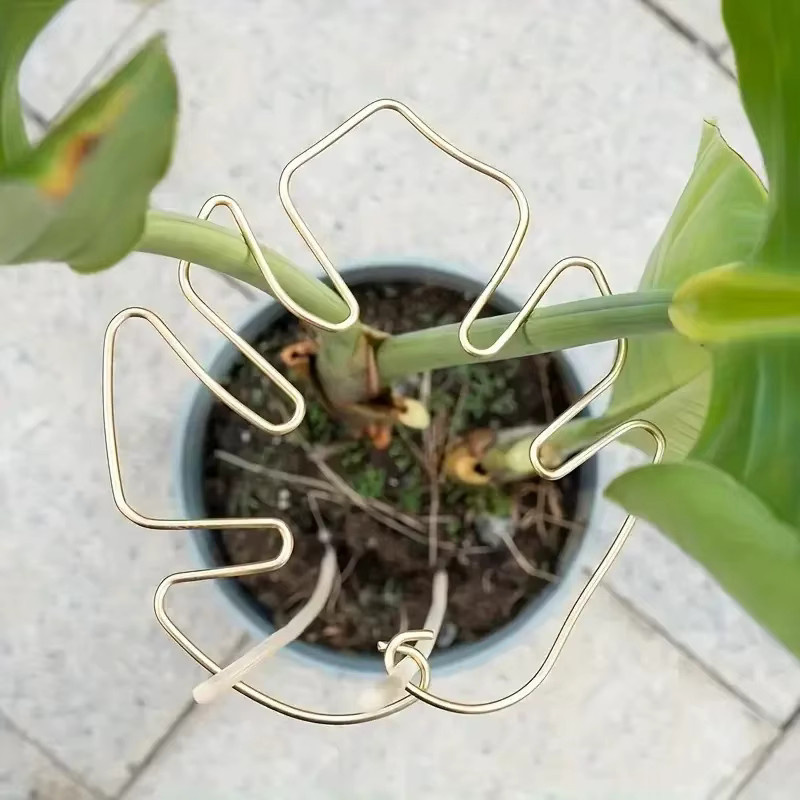 5 Stück große hängende Pflanzenständer aus Metall mit Eisenhaken in Gold für deine Blumentopfdekoration im Innen- und Außenbereich - Bild 2