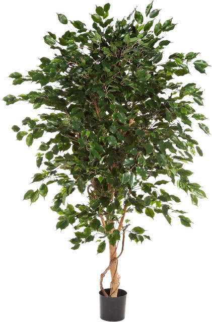 Künstlicher Ficus Kim von artplants in Grün, Höhe: 210 cm - Bild 1