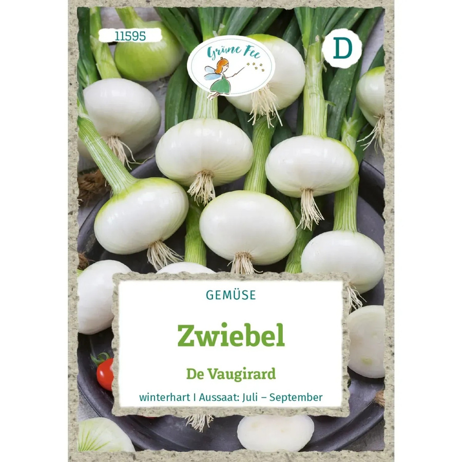 Grüne Fee Zwiebel De Vaugirard Saatgut für den Freilandanbau - Bild 2