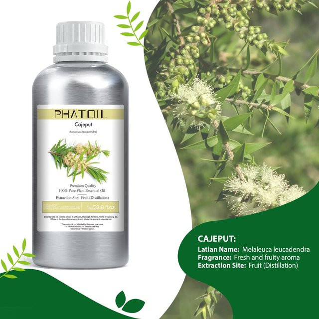 PHATOIL Ätherische Öle Cajeput, 1000 ml - Bild 1