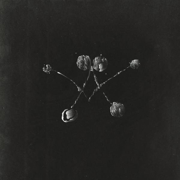 CD Nowhere Now von Waterstrider, Rock Album von Columbia Records, gebraucht, grau/schwarz - Bild 1