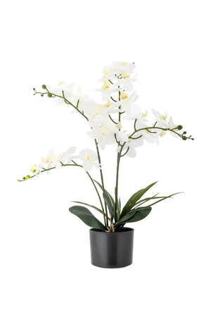 Bloomingville Orchidee Kunstpflanze grün Höhe: 84 cm