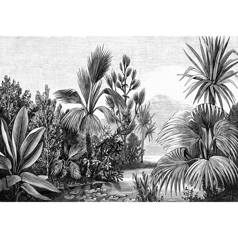ESTAhome Fototapete Tropische Landschaft in Schwarz-Weiß, Breite: 400 cm, Höhe: 279 cm - Bild 2