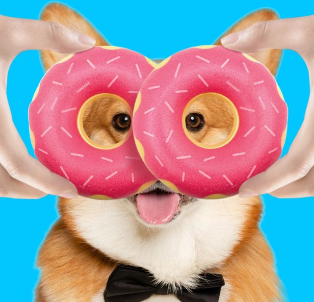 Qzee Gummi-Donut-Hundespielzeug, mit Funktionen zum Zähneknirschen, Zahnreinigung, interaktiver Begleitung, Entspannung und zur Ausdruckssteigerung - Bild 1