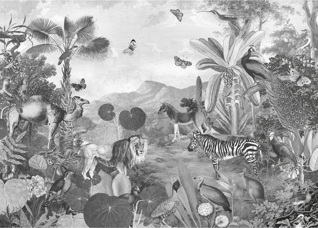 Komar Vliesfototapete Flora and Fauna B: 350 cm, H: 250 cm - Bild 1