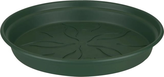 Elho Untersetzer Green Basics in Aubgrün, Durchmesser: 22 cm - Bild 1