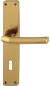 HOPPE ZT-Drückergarnitur Langschild Birmingham 1117/202SP BB in Gold aus Aluminium - Bild 1