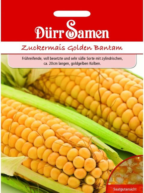 Dürr Zuckermais Golden Bantham Saatgut 155 g - Bild 1