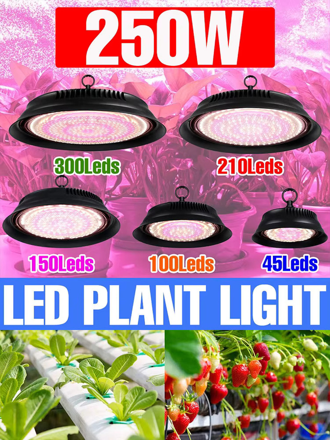 NJHIKG LED Pflanzenlampe 250W Vollspektrum Grow Light Schwarz für Indoor Hydrokultur und Gewächshaus - Bild 6