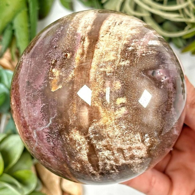 CrystalHola Holzfossilkugel aus Stein in rustikalem Design für die Tischdekoration - Bild 1