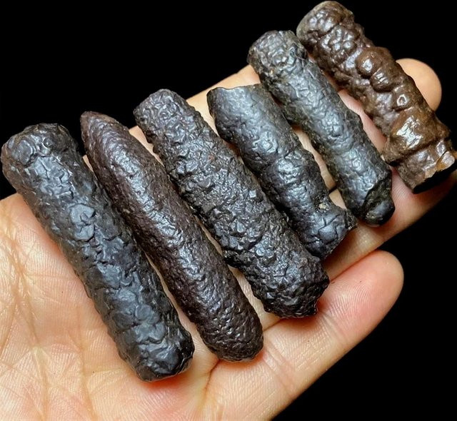 BASILOSAURUS Black Diamond Prophecy Stein Probe in Schwarz für Reiki und Heilung - Bild 1