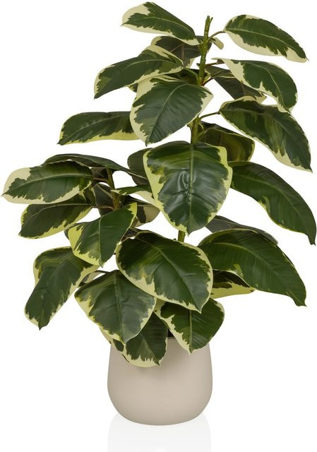 hjh OFFICE Kunstpflanze Ficus 3 als Tischdeko in Grün aus Kunststoff und Eisen - Bild 1