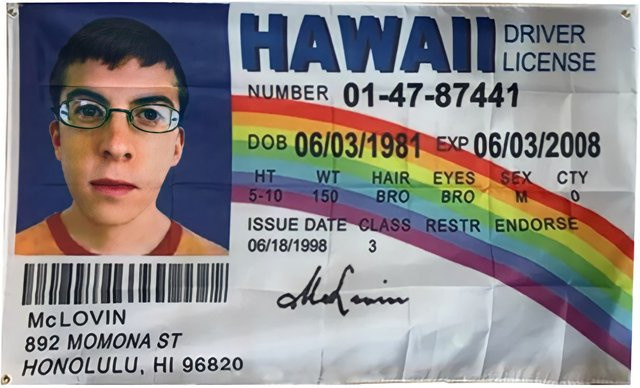 Nlbflag McLovin Fake ID Führerschein Banner Multicolor, Breite: 90 cm, Höhe: 150 cm - Bild 1