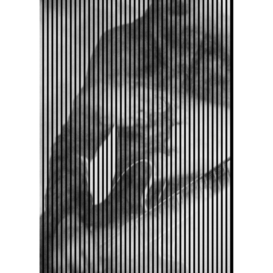 FN Acustico Akustikplatte Riff 2 in Bunt aus PET und MDF, H x B x T: 2.400 x 1.693 x 19 mm - Bild 2