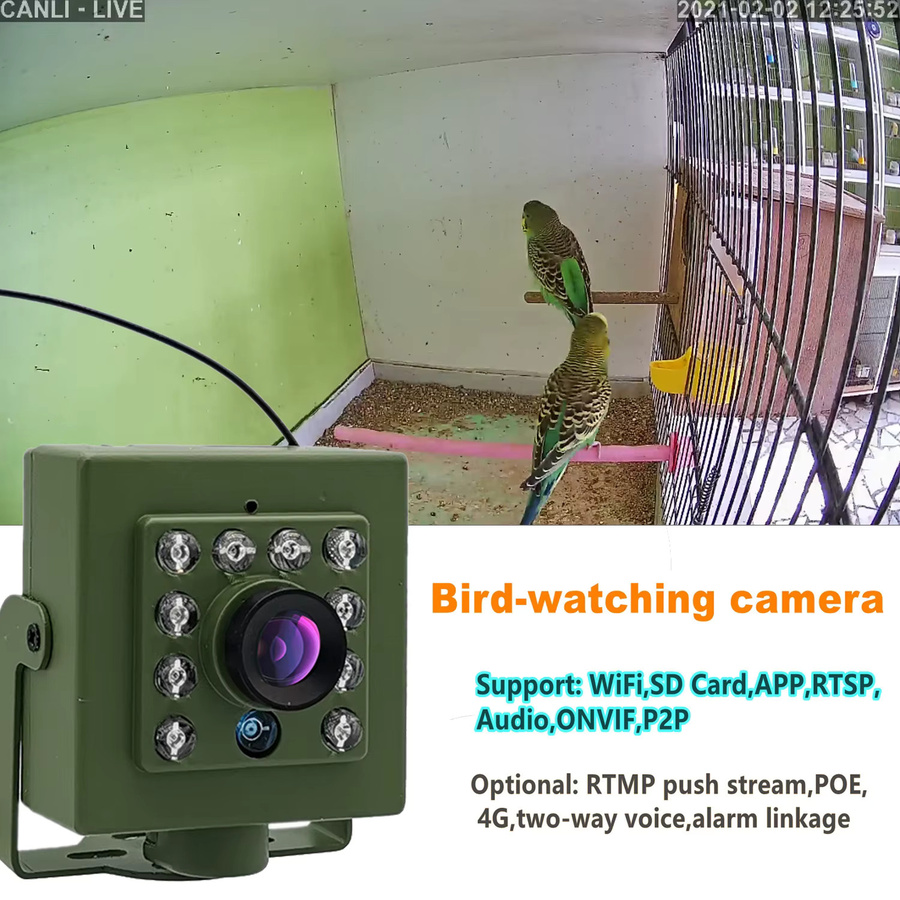 HQCAM WLAN Vogelhaus-Kamera in Grün mit 1920P Full HD, Audio, IR CUT Nachtsicht und 2,8mm Objektiv zur Vogelbeobachtung - Bild 3