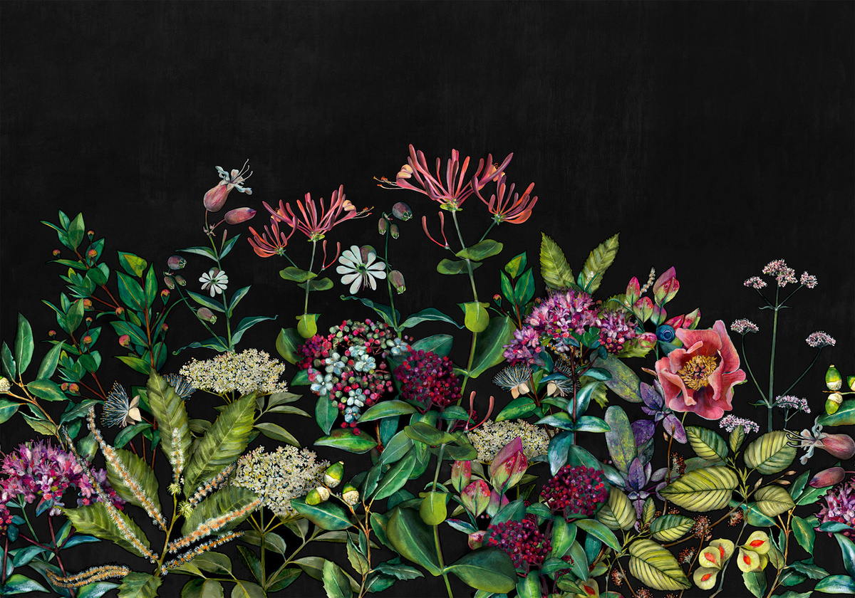 Coordonné Wandtattoo Wild Floral Night Vlies Tapete in Multicolour und Schwarz - Bild 2