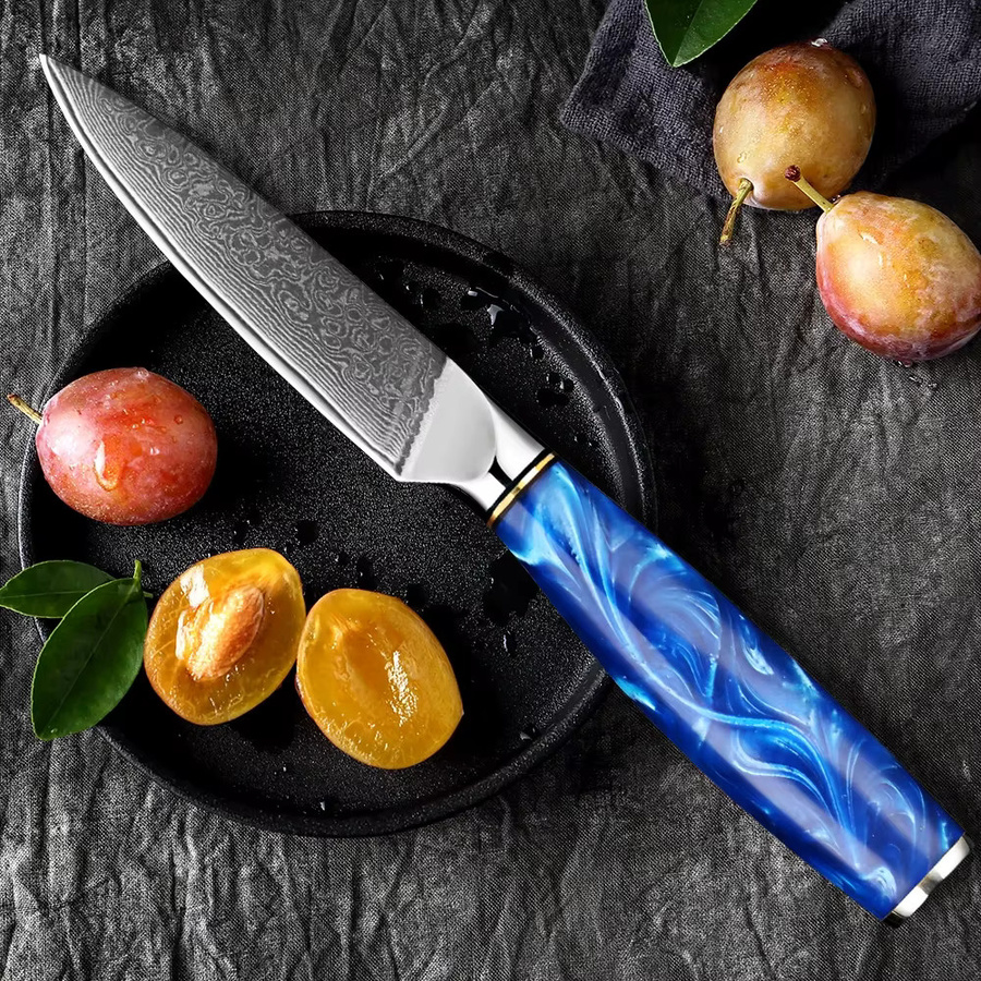 Xituo Damaststahl Allzweckmesser mit blauem Harzgriff, 3,5-Zoll Schälmesser für Obst und Fleisch - Bild 5