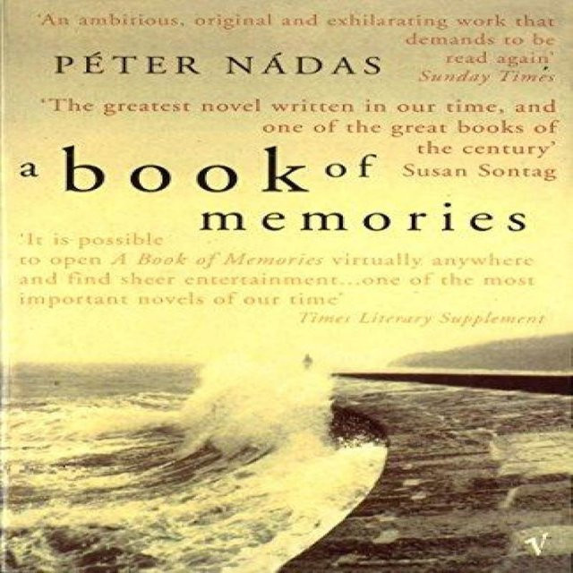 Ein Buch der Erinnerungen von Peter Nadas, Taschenbuch - Bild 1