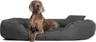 Tierlando Orthopädisches Hundebett SAMMY in Schwarz und Graphit mit erhöhter Umrandung, B/T/H: 140 x 105 x 30 cm - Bild 1