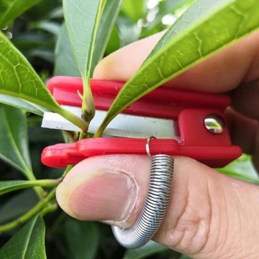 Lanzhong home life Multifunktions-Daumenmesser in Grün mit Fingerschutz und Catcher als Gartenschere und Obstpflückgerät - Bild 4