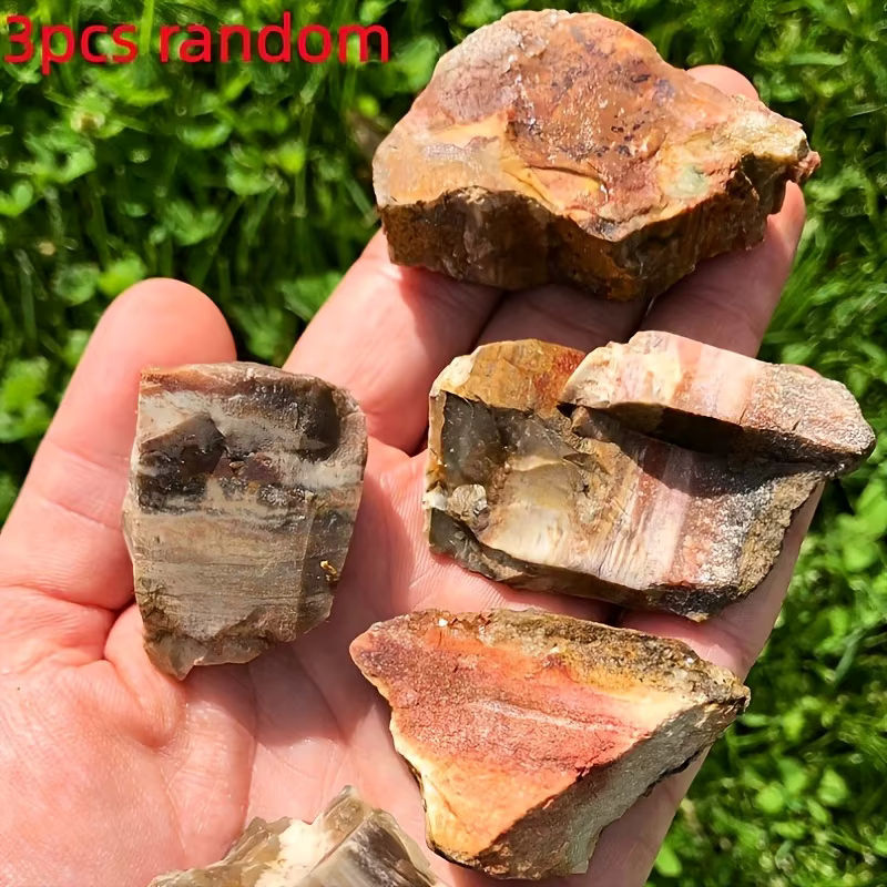 CrystalHola Natürlicher versteinertes Holz Rohstein in Mehrfarbig mit erhaltenen Holzmaserungen und Mineralien für deine Dekoration - Bild 4