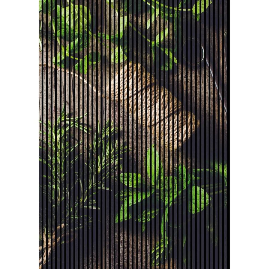 FN Acustico Akustikplatte Kräuter in Bunt aus PET und MDF mit modernem Design, H x B x T: 2.400 x 1.693 x 19 mm - Bild 2