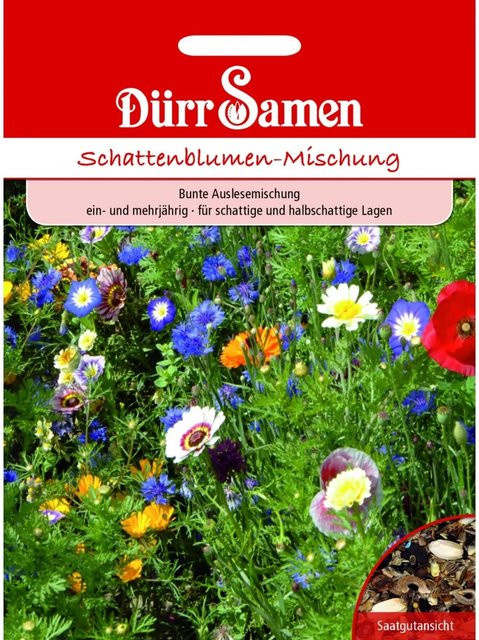 Dürr Schattenblumen Blumenmischung Saatgut für Beete und Vorgärten Ein- und Mehrjährig - Bild 1