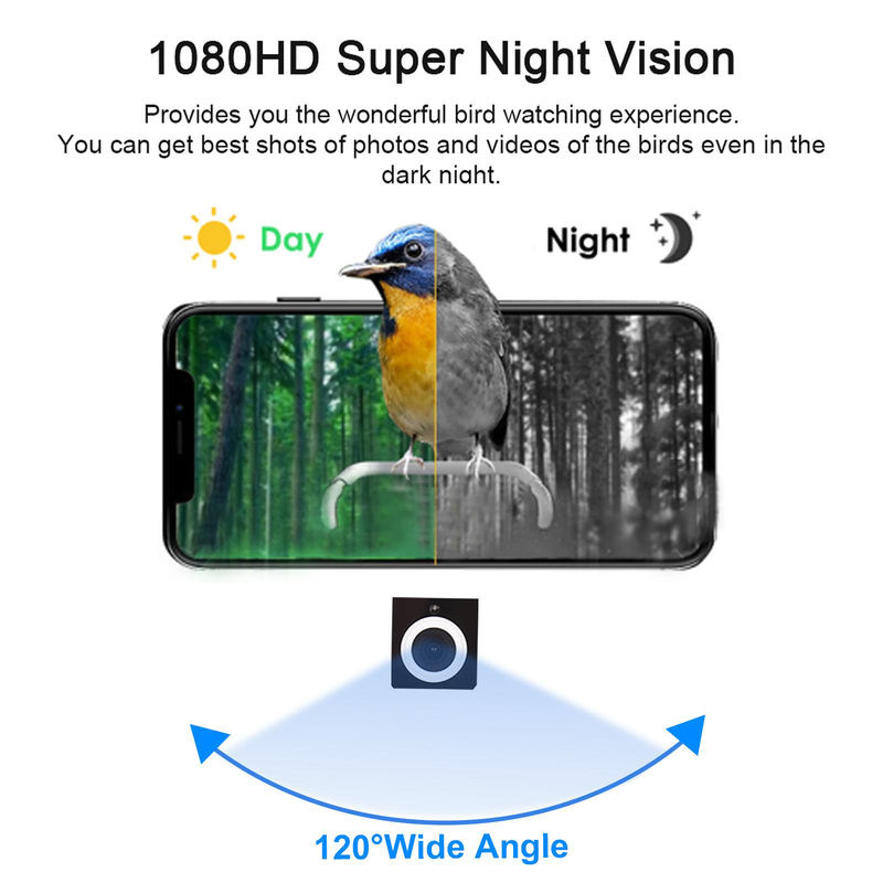Intelligente Vogelfutterhaus-Kamera mit 1080P HD, Farb-Nachtsicht und KI-Vogelarten-Identifikation in Orange - Bild 2