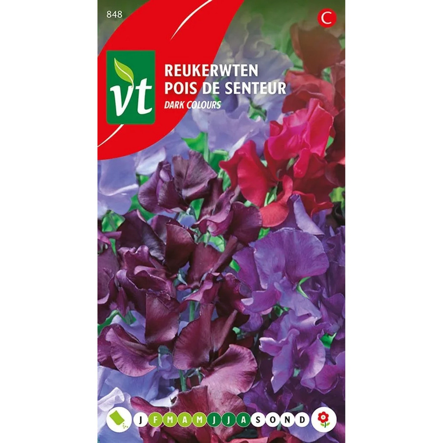 Arborix Duftwicke Dunkle Mischung Kletterpflanzen Samen mit dunklen Blütenfarben, 4 g - Bild 2