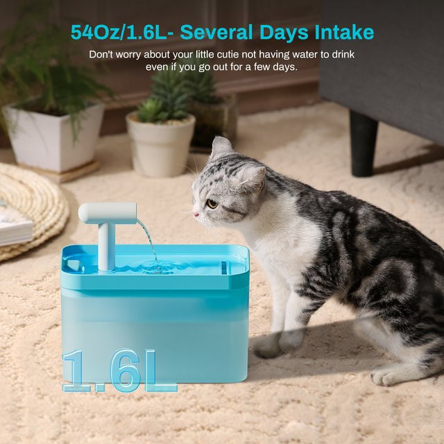 Automatischer ZYfeeder Katzenbrunnen als leiser Haustiertrinker für Katzen und Hunde in Grau oder Blau - Bild 1