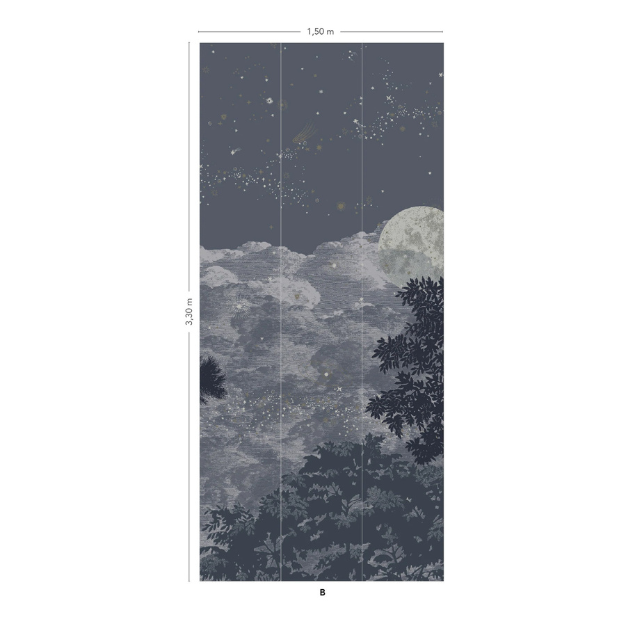 Isidore Leroy Mural Eclipse Clair Obscur Wandgestaltung Panel B in Blau und Grau - Bild 1