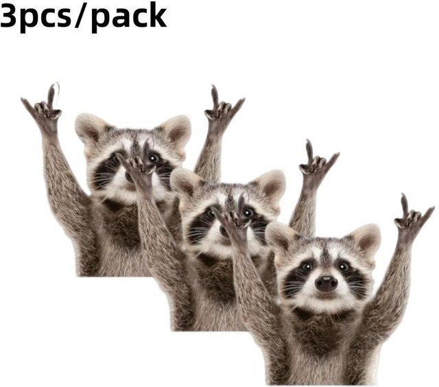 3 Stück Cartoon Waschbär Aufkleber von Binchi Outdoor Product in Multicolour für Auto Fenster Haus Tür Notizbuch und Gepäck - Bild 1