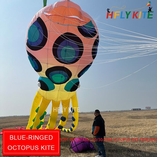 HFLY Oktopus-Kite-Anhänger, blauer Showkite mit Leine, Meerestiere - Bild 1