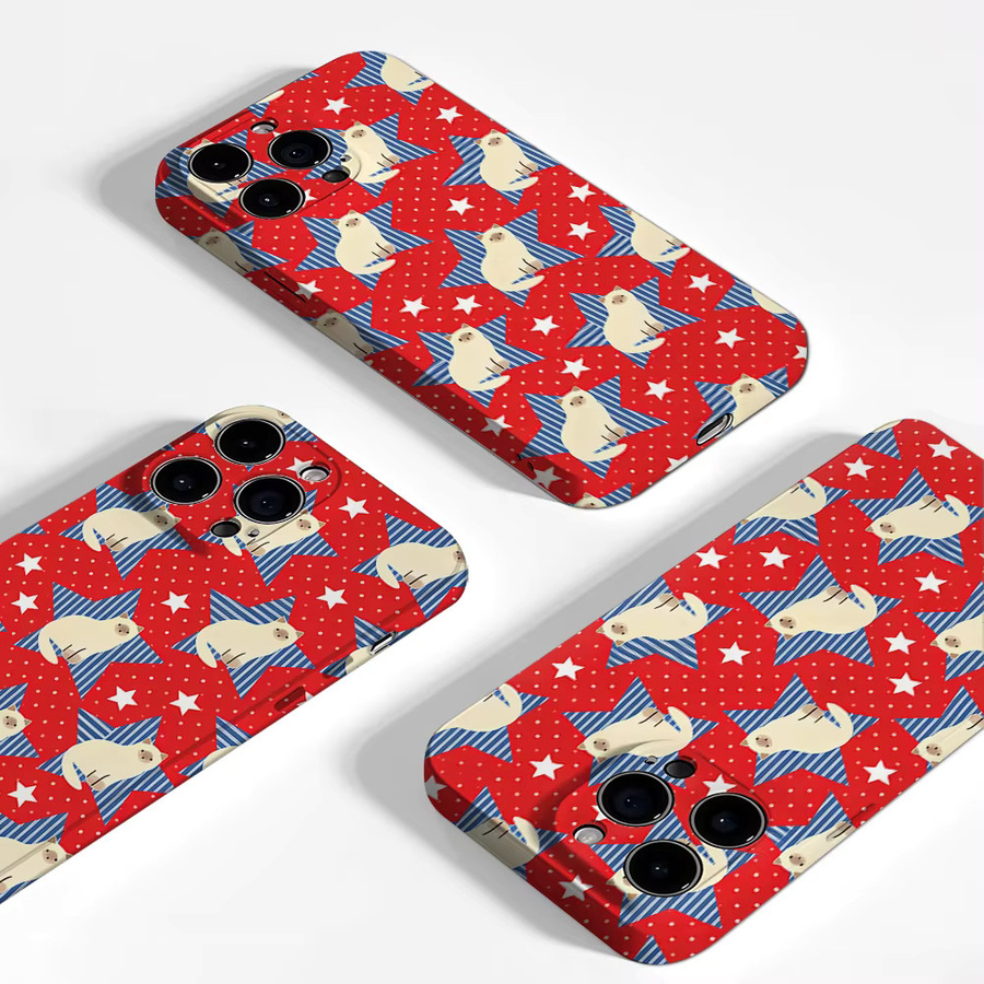 Aurea Case Matte Bumper MagSafe Schutzhülle für iPhone 13 bis 17 Pro Max mit Siamesische Katze Stern Design in Multicolour - Bild 3