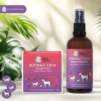 Yuki Cares Vertragt euch-Set - Bild 2