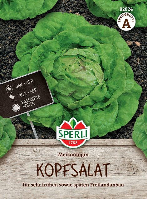 SPERLI Kopfsalat-Samen Meikönigin - Bild 1