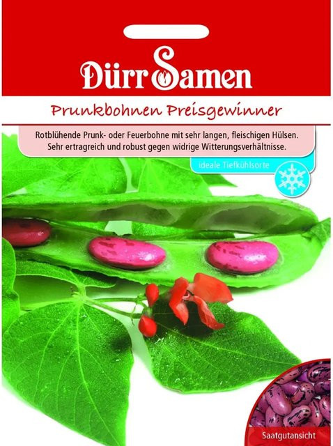 Dürr Samen Prunkbohnen Preisgewinner Saatgut 40 g - Bild 1