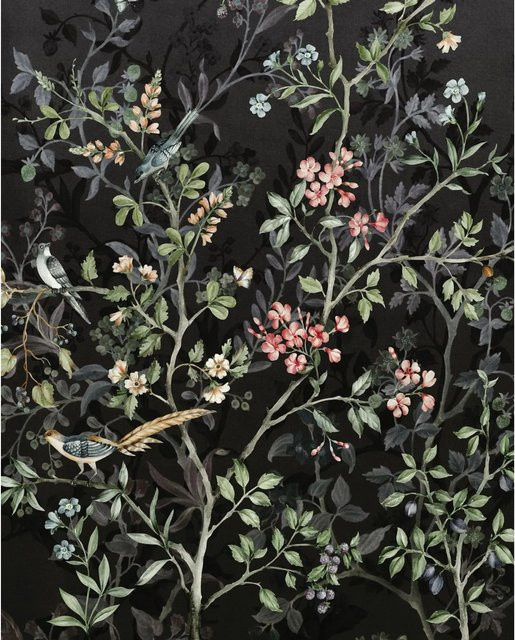 Komar Fototapete Blumen und Vögel in Schwarz aus Vlies, Breite: 200 cm, Höhe: 250 cm - Bild 1