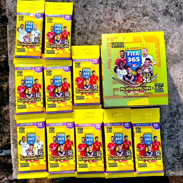 PANINI Adrenalyn XL 365 2025/2026 Fußball-Sammelkarten, Großpackung mit 26 Karten - Bild 1