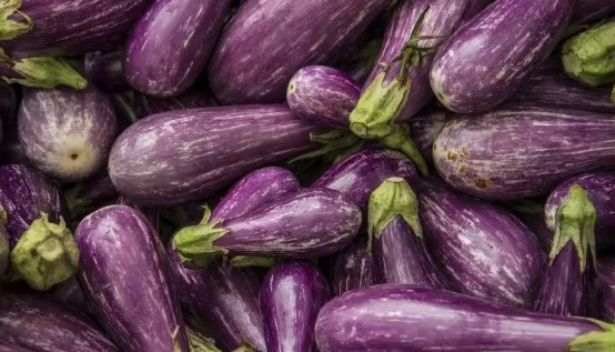 Toraf Auberginensamen TSAKONIKI Sorte Purple - Bild 3