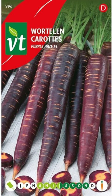 Arborix Möhre Purple Haze F1 Samen, schnellwüchsig, 1 g - Bild 1