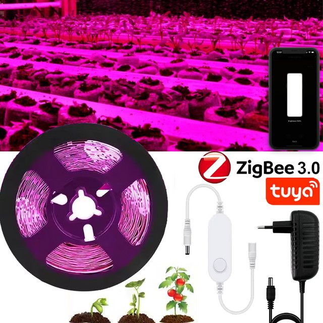 YSRSAI Zigbee 3.0 Smart LED Streifen Vollspektrum Pflanzenwachstumslicht mit 300 LEDs für Gewächshaus und Hydrokultur, 5 m - Bild 1