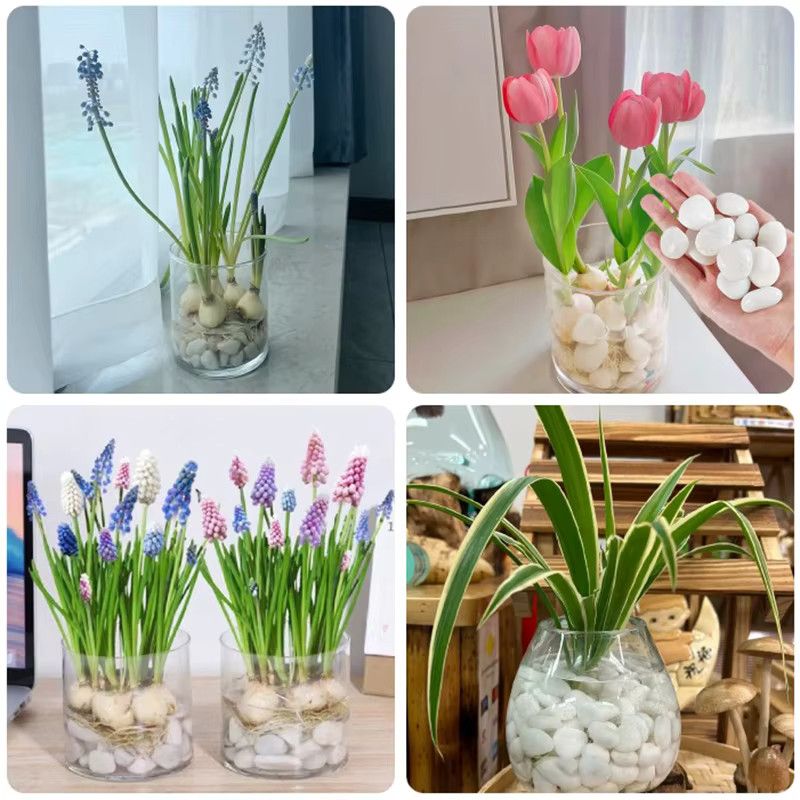 IFITU PUBO Kieselsteine weiß hochglanzpoliert für Garten, Hof und Aquarium, 300g bis 800g, Größe: 2-3 cm - Bild 3