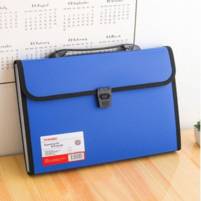 Yiran Furniture Dokumentenorganisator A4 Aktenmappe mit 13 Fächern in Blau - Bild 1