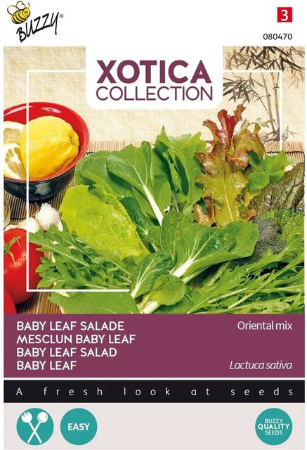 Buzzy Xotica Baby Leaf Salat Oriental Mischung Gemüsesamen, 3 g - Bild 1