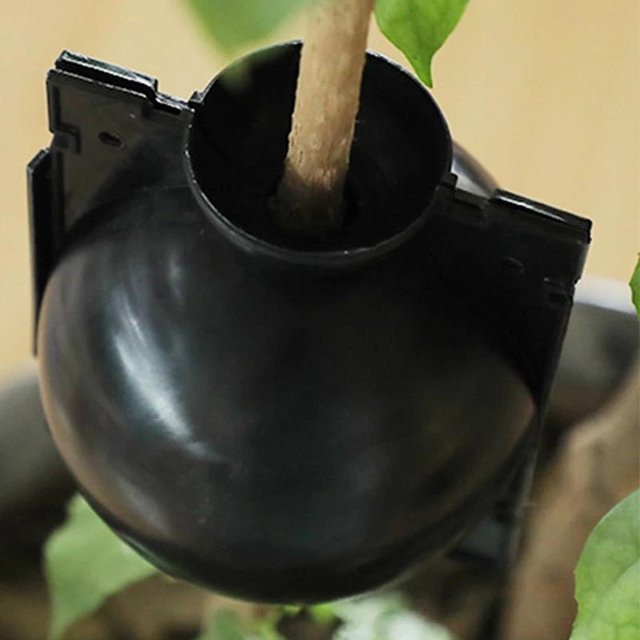 10 Stück LIUXING Pflanzenwurzel-Anbauboxen aus Kunststoff in Schwarz, Durchmesser: 12 cm - Bild 1